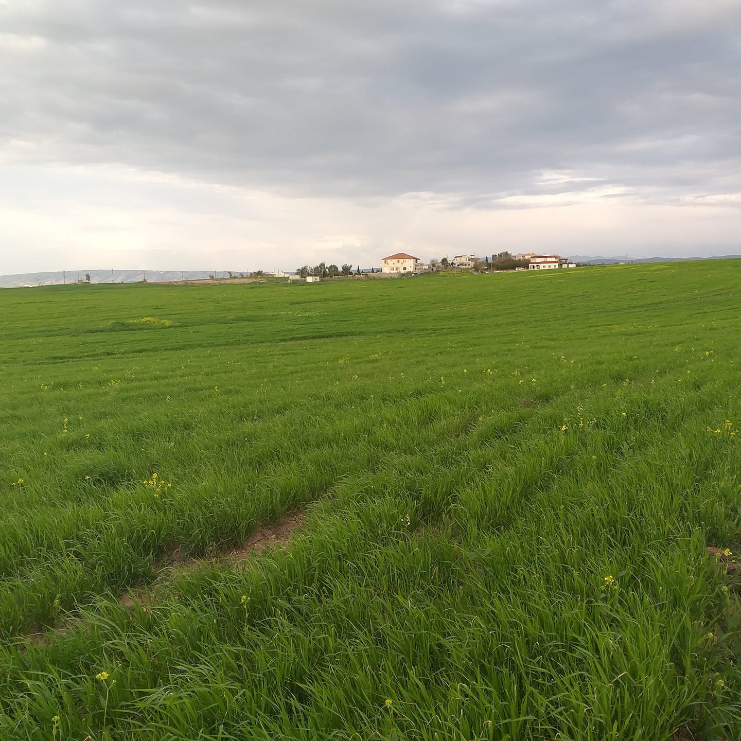 Environmental Study And Consultancy