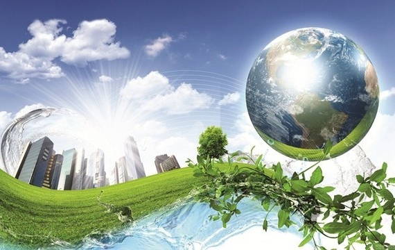 Advancing Sustainability and Responsible Business Practices